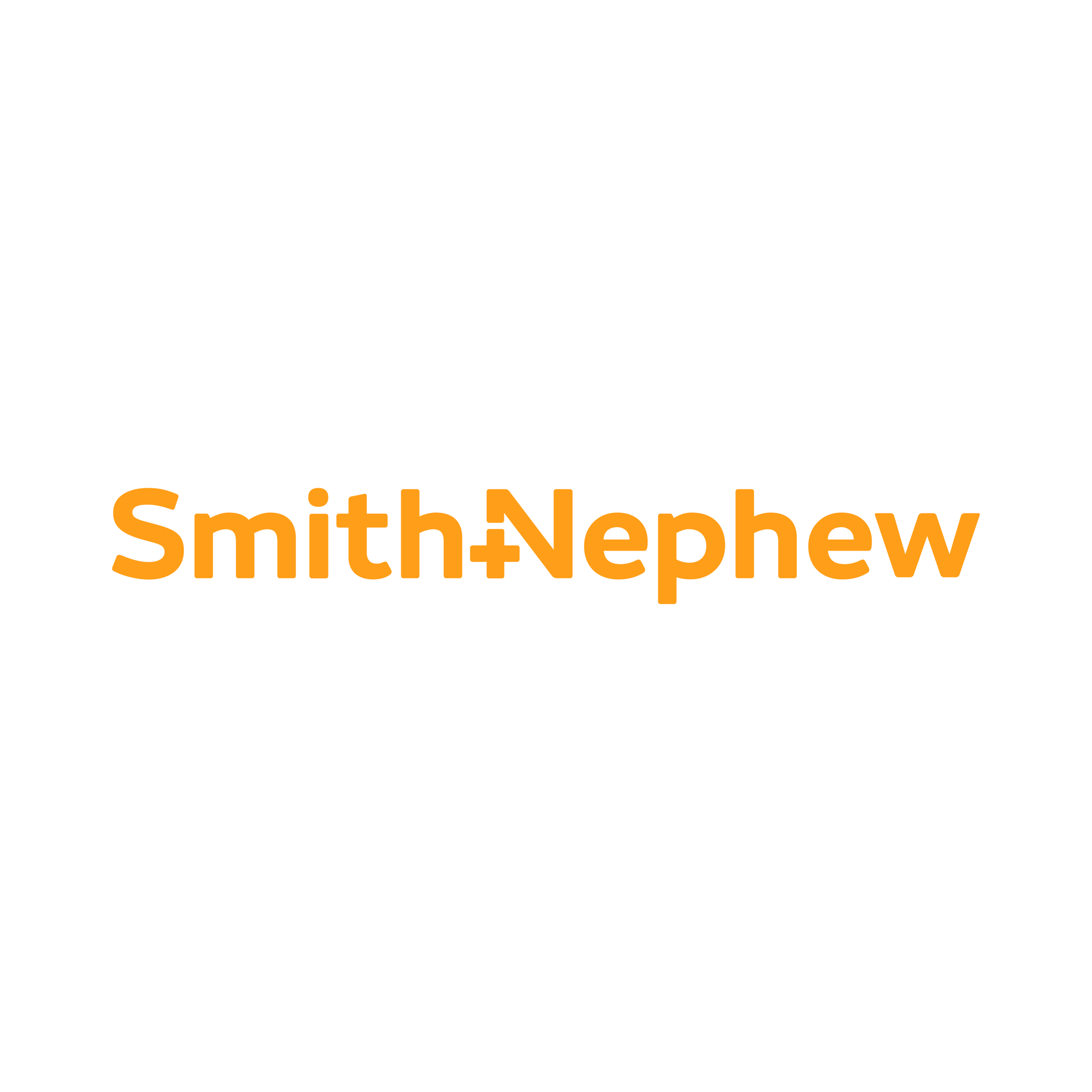 Smith Nephew Logo