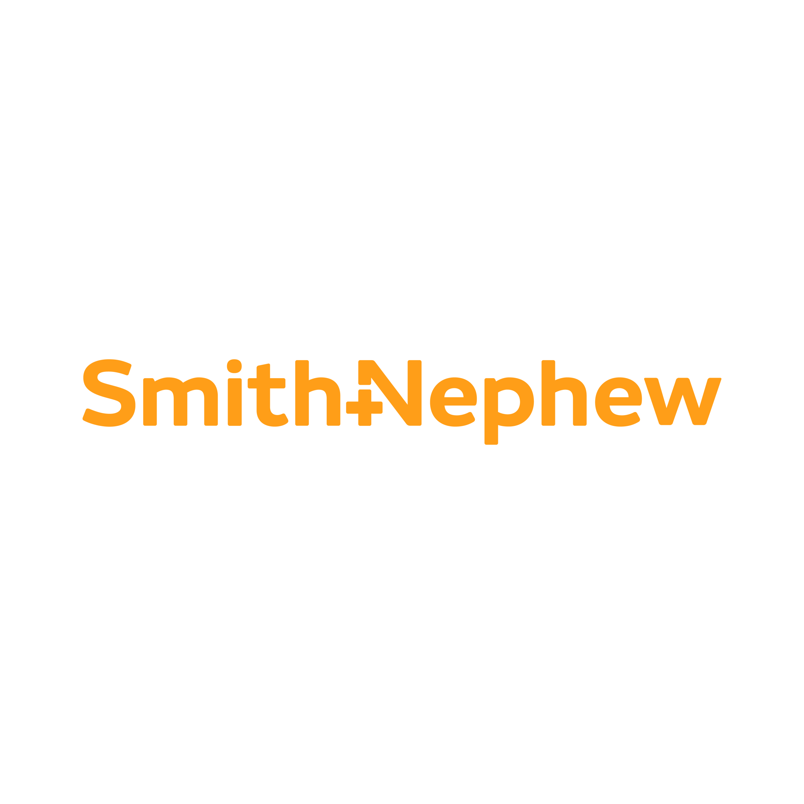 Smith Nephew Logo