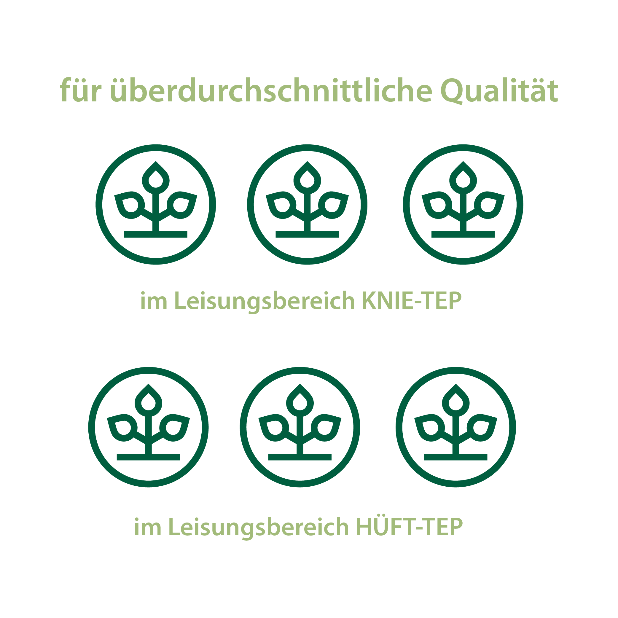 AOK-Siegel: überdurchschnittliche Qualität im Leistungsbereich Knie-TEP und Hüft-TEP.